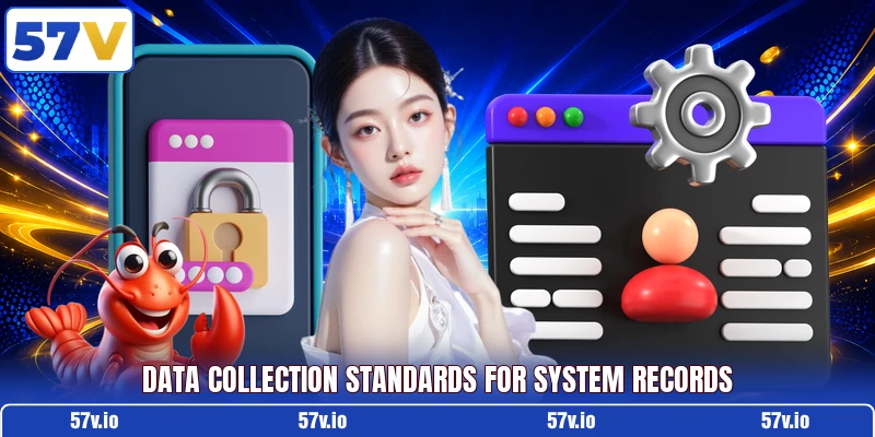 Data collection standards for system records