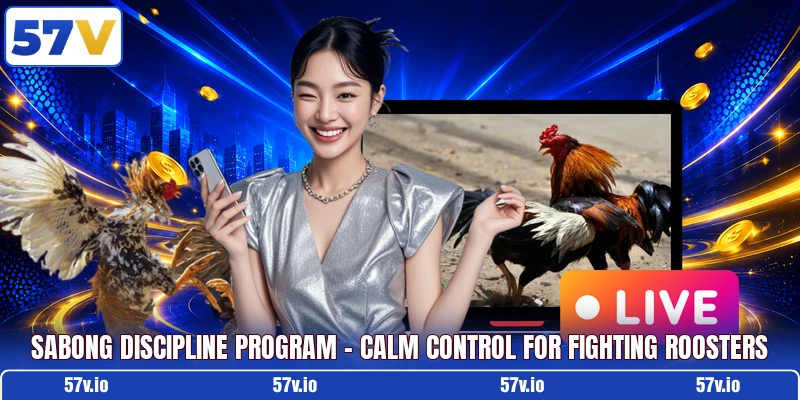 Sabong Discipline Program - Calm Control For Fighting Roosters
