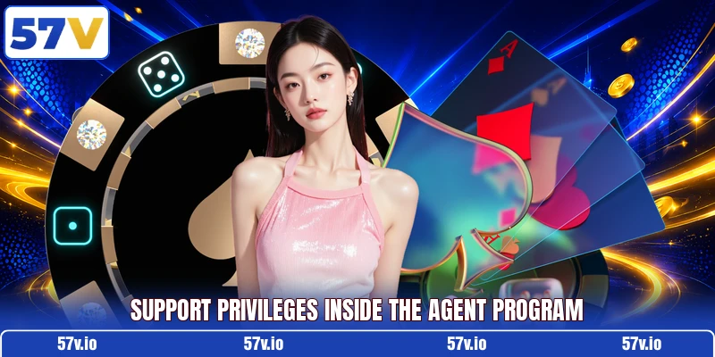Support privileges inside the agent program