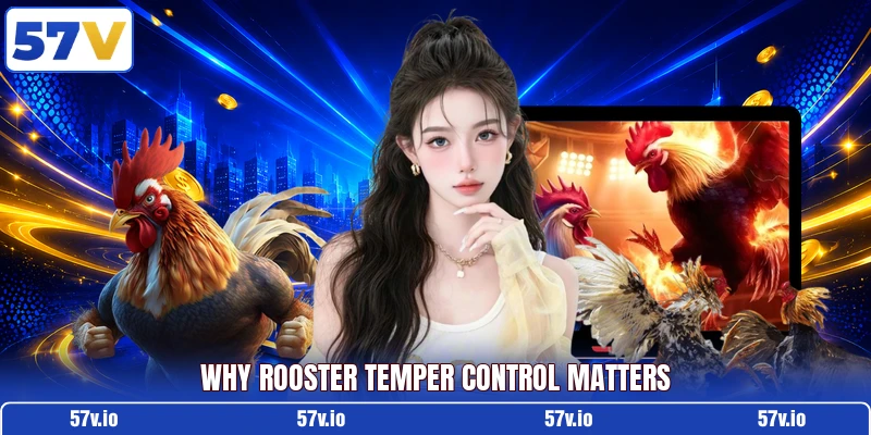 Why rooster temper control matters